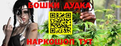 молекула духа Шахты