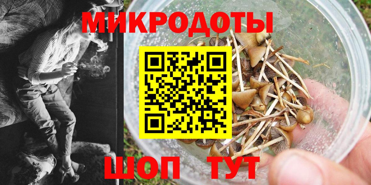 Псилоцибиновые грибы Psilocybe Белорецк